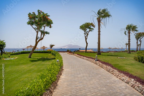 Fototapeta Beautiful view of the alley leading to the beach and the sea between the trees and palm trees. In the distance, you can see the island of Tirana, Egypt, Sharm el Sheikh.