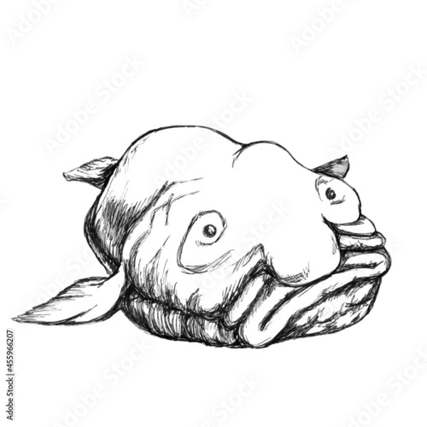 Fototapeta Fish drop on a white background image of a funny fish. a simple