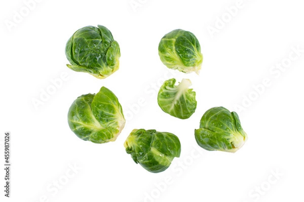 Obraz Organic Brussels Sprouts