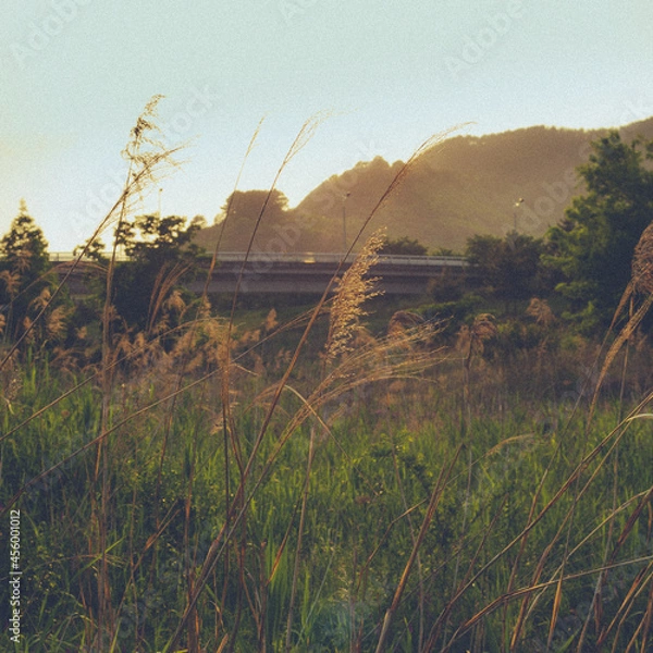 Fototapeta 낙동강