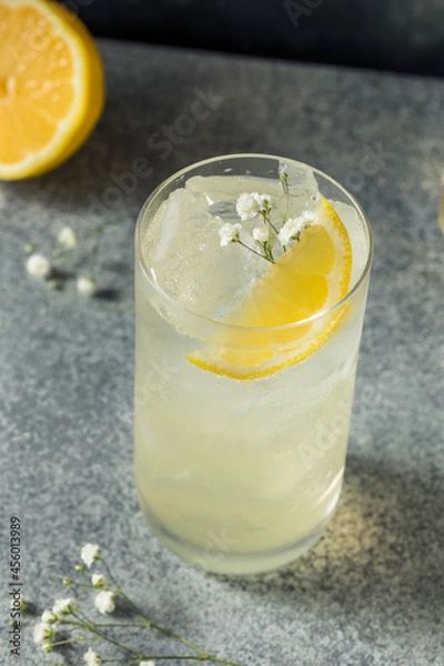 Obraz Cold Refreshing Elderflower Drink