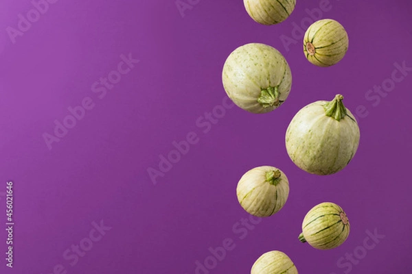 Fototapeta Round zucchini squash pumpkins floating or falling for colorful autumn October card. Minimal concept.