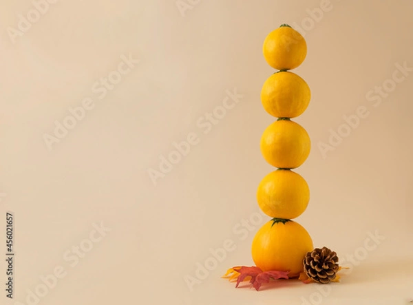 Fototapeta Modern autumn fall concept with yellow pumpkin squash balanced vertical. Copy space.