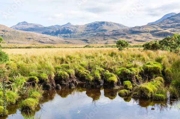 Fototapeta Marshlands in the Torridon region of Scotland