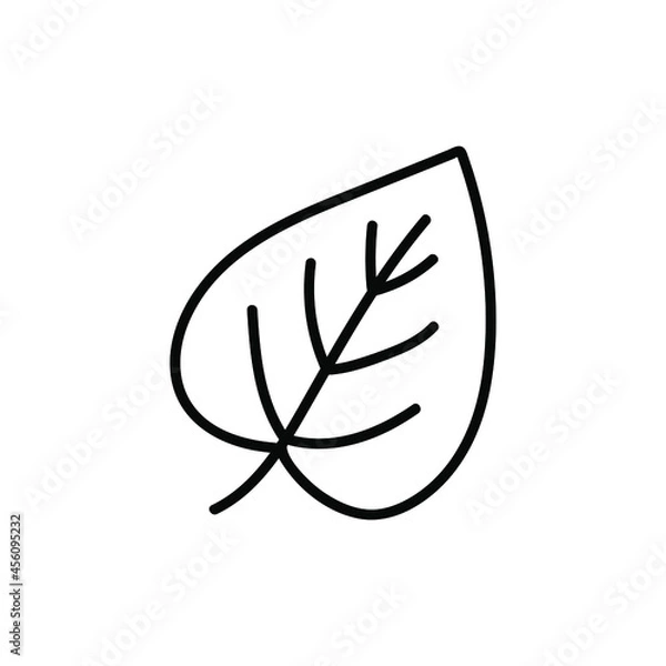 Fototapeta Doodle-a linden leaf icon. Contour image of the fallen leaves of a tree. Simple black drawing of plants for stickers, decor, postcards, badges, coloring books, logos. Vector clipart of plants