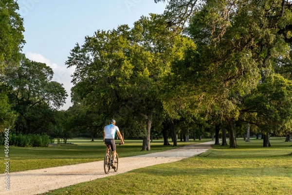 Obraz Man, person, rider on a bicycle along a path through a grove of oak trees and grass level area, Swede Creek Park, Cordillera Ranch, Boerne, Hill Country, Texas