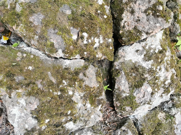 Fototapeta A stone wall covered with moss in the rocky natural park of Monrepos in the city of Vyborg on a clear summer day..