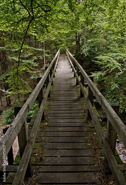 Fototapeta The Bridge