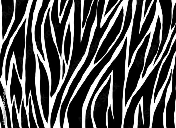 Fototapeta zebra pattern. Animals nature  background