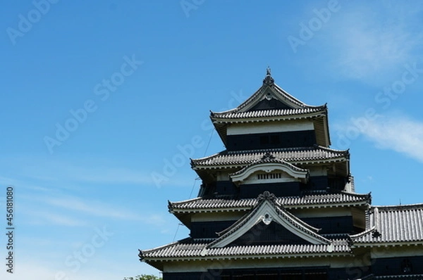 Fototapeta 松本。 何度も来た公園。　空が広がり緑深く、日は差す。心地よい時間、空間。