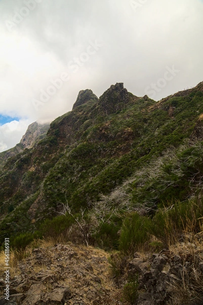 Fototapeta landscape with clouds