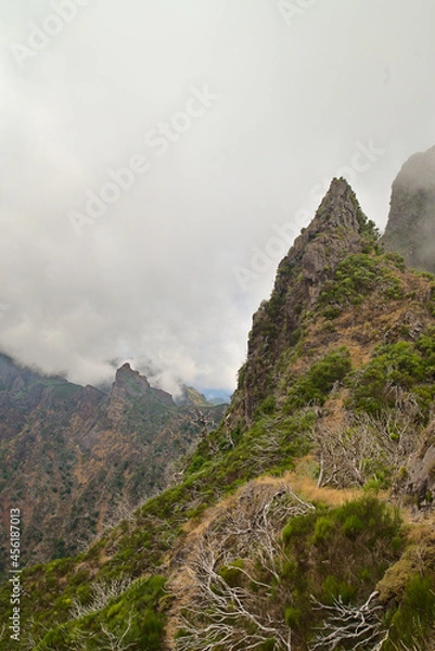Fototapeta view from the top