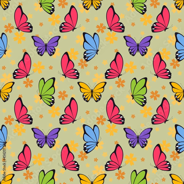 Obraz butterfly pattern color