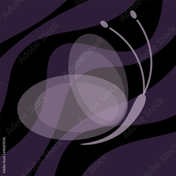 Obraz butterfly abstraction waves black background vector graphics