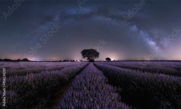 Fototapeta Panoramic view of the Milky Way arch above the lavender field. Space background. Copy space