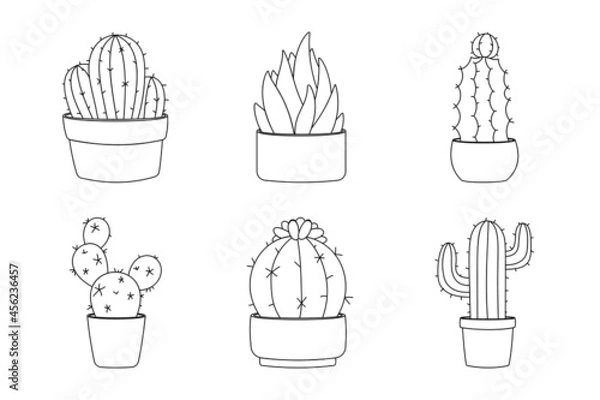 Obraz Line art design element cactus collection. Set six elements