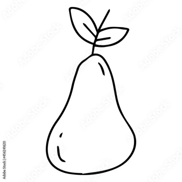 Fototapeta Vector pear sketch.