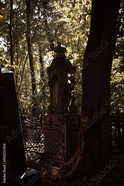 Obraz statue in the cemetery