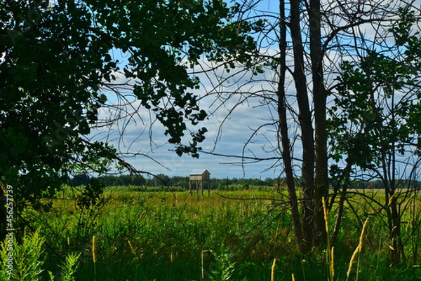 Fototapeta A country house in the Islands of Boucherville national park at the bank of Lawrence (Laurent) River, Montreal, QC on a cloudy summer day. The trees and grass on the river banks