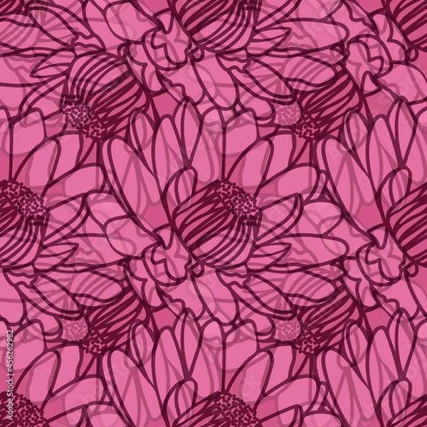 Obraz Chrysanthemum shadows