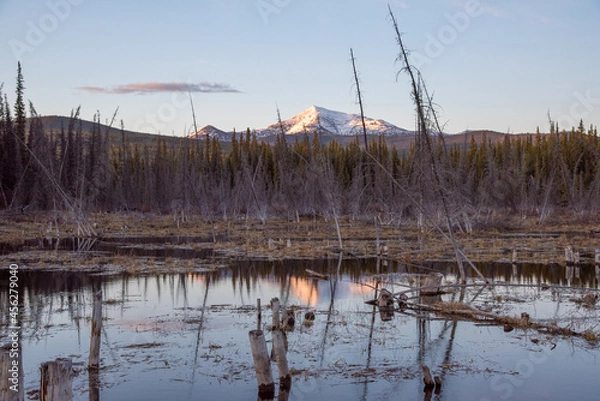 Fototapeta Stunning scenery in northern Canada during spring time with snow capped mountains and healthy, green boreal forest with calm lake below.