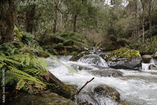 Obraz waterfall in the mountains