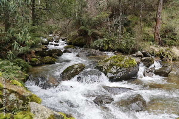 Obraz waterfall in the forest