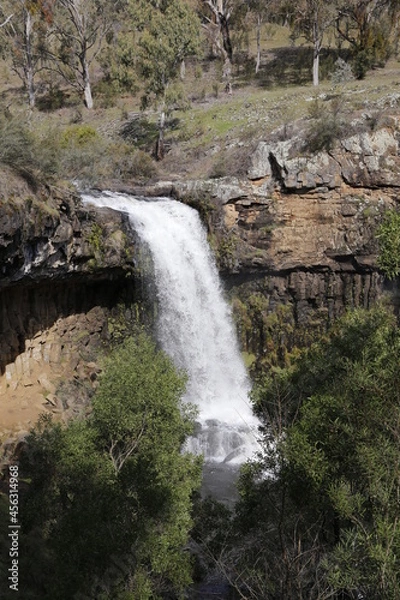Obraz waterfall in the forest