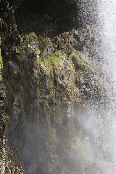 Obraz waterfall in the forest