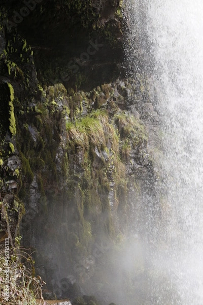 Obraz waterfall in the forest