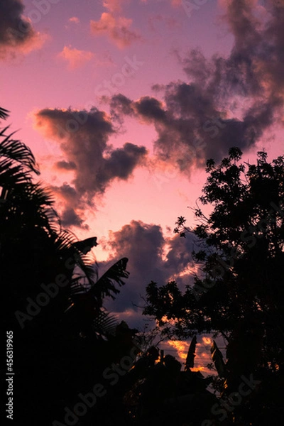 Obraz Céu ao entardecer