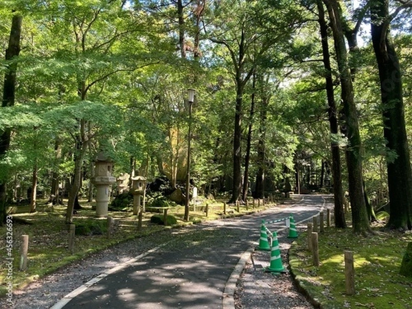 Obraz 公園