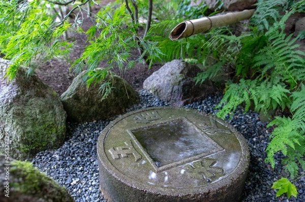 Obraz Ogród Japoński