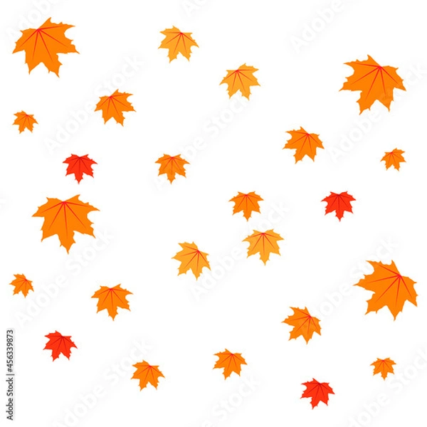 Obraz vector autumn