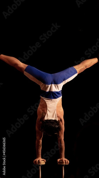 Obraz Circus during a show