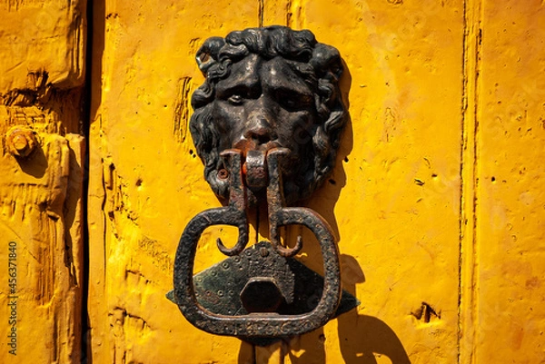 Obraz door knocker