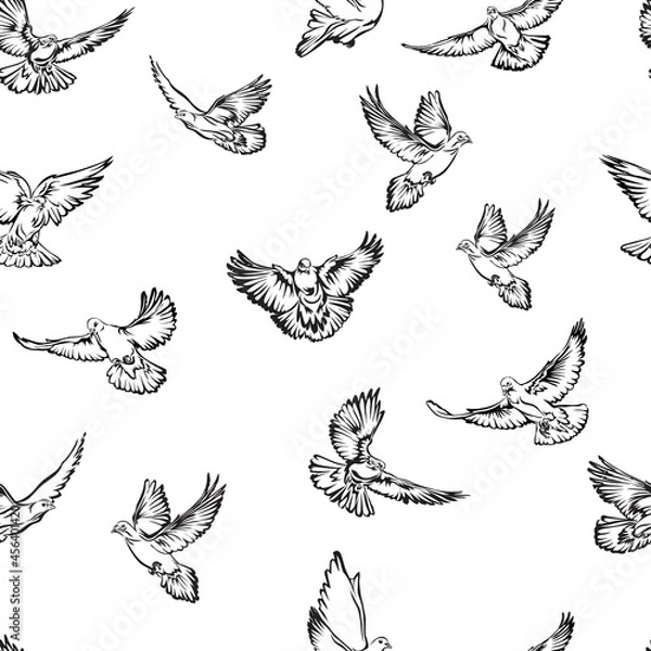 Fototapeta image of flying doves, pattern for design and decoration, black and white linear image