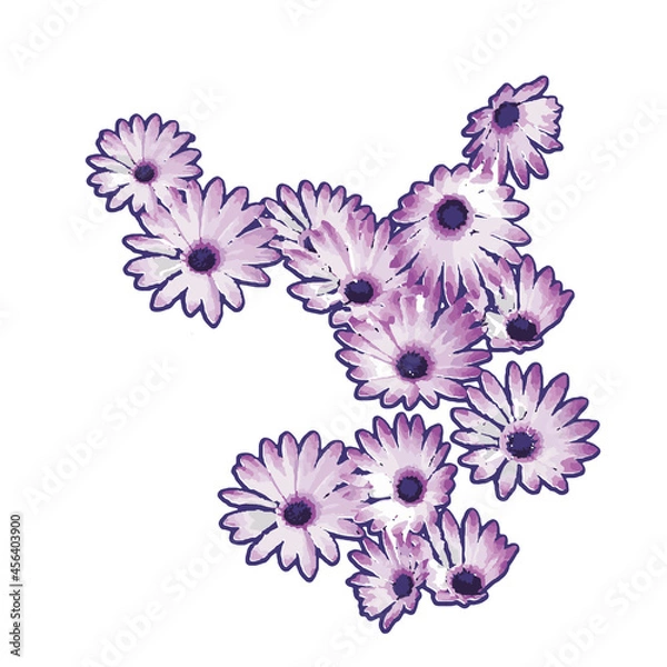 Obraz Daisy flower vector illustration painting. Isolated vectors can be placed on any object. 