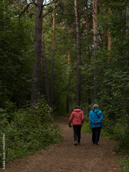 Obraz walking in the woods