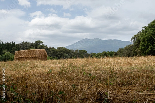 Obraz Campo con balas de paja