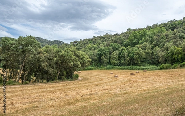 Obraz Campo con balas de paja