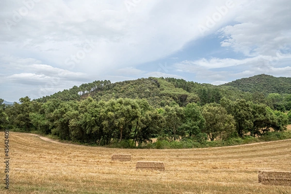 Obraz Paisaje con campo 