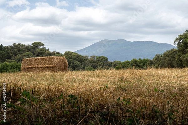 Obraz Campo con balas de paja