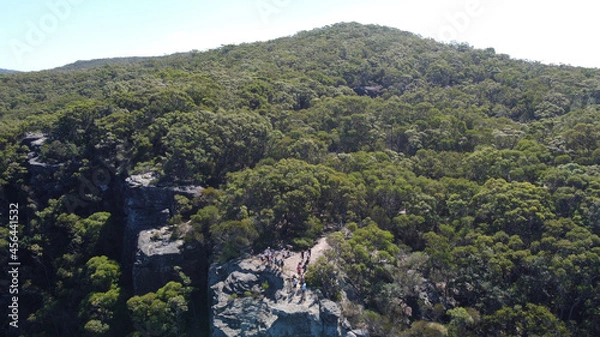 Obraz landscape with trees