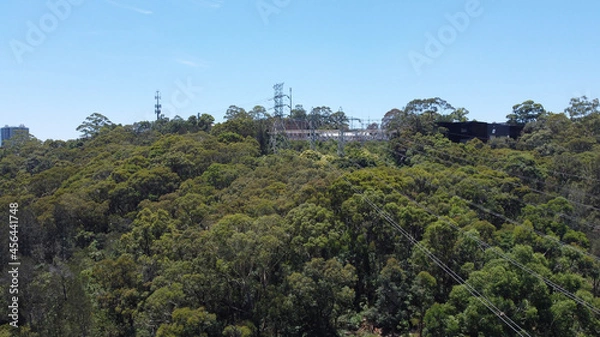 Obraz forest in the mountains