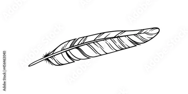Fototapeta Bird feather for a quill. Sketch feather illustration for a tattoo design. Vector illustration isolated in white background