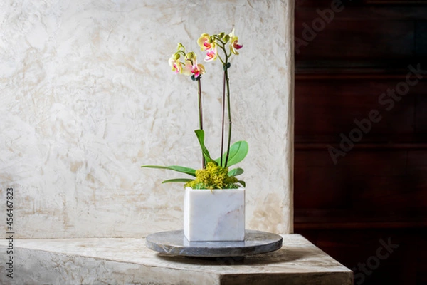 Obraz Orchid and Marbl