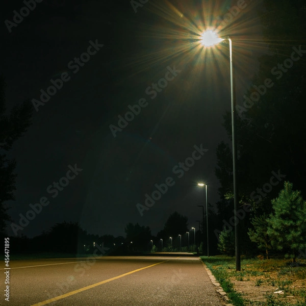 Fototapeta Pedestrian and bicycle road in the park illuminated by a lantern at night