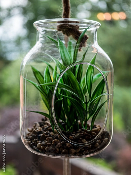 Obraz glass jar with grass