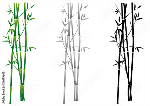 Obraz 竹のイラスト